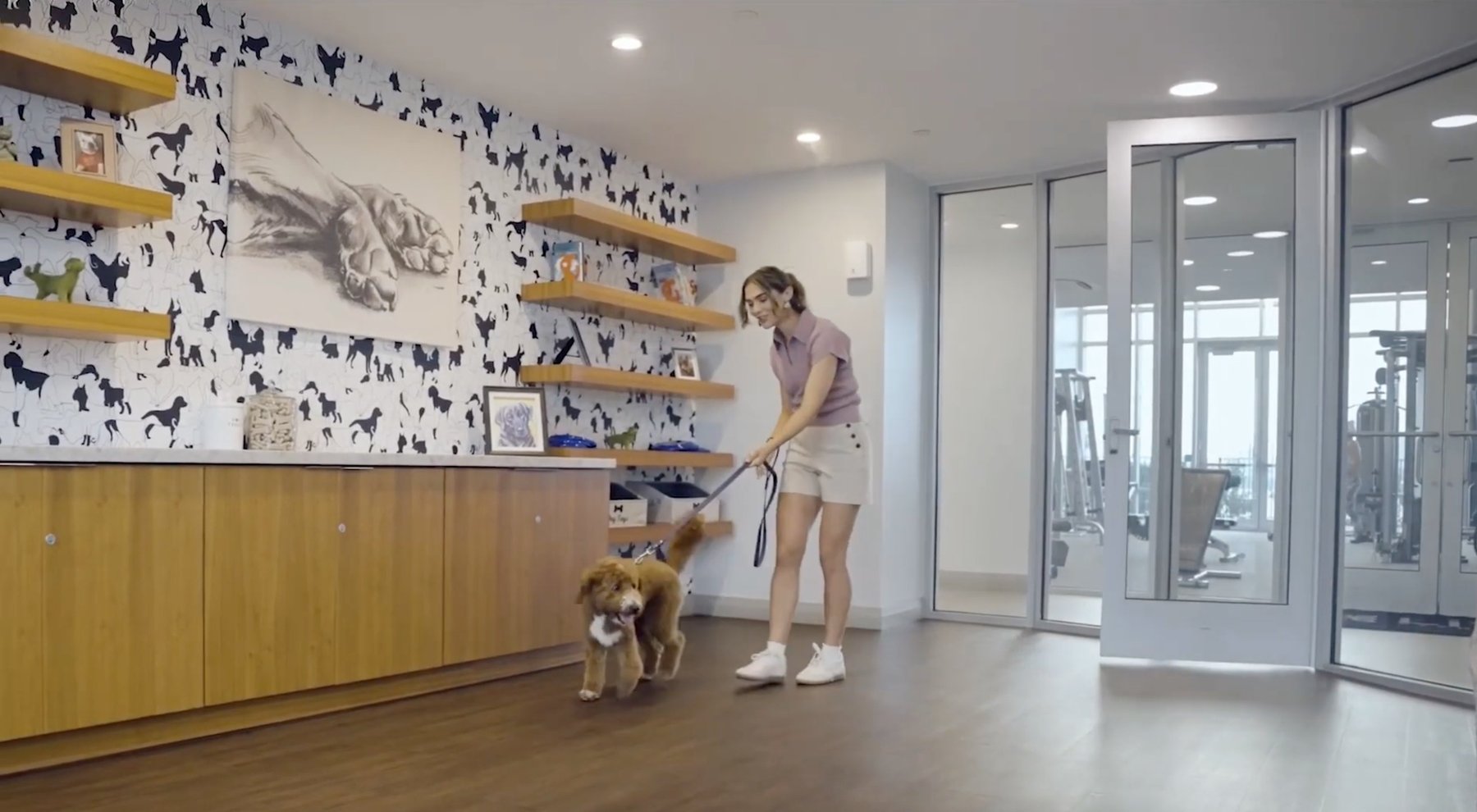 Grandscape Live — pet spa