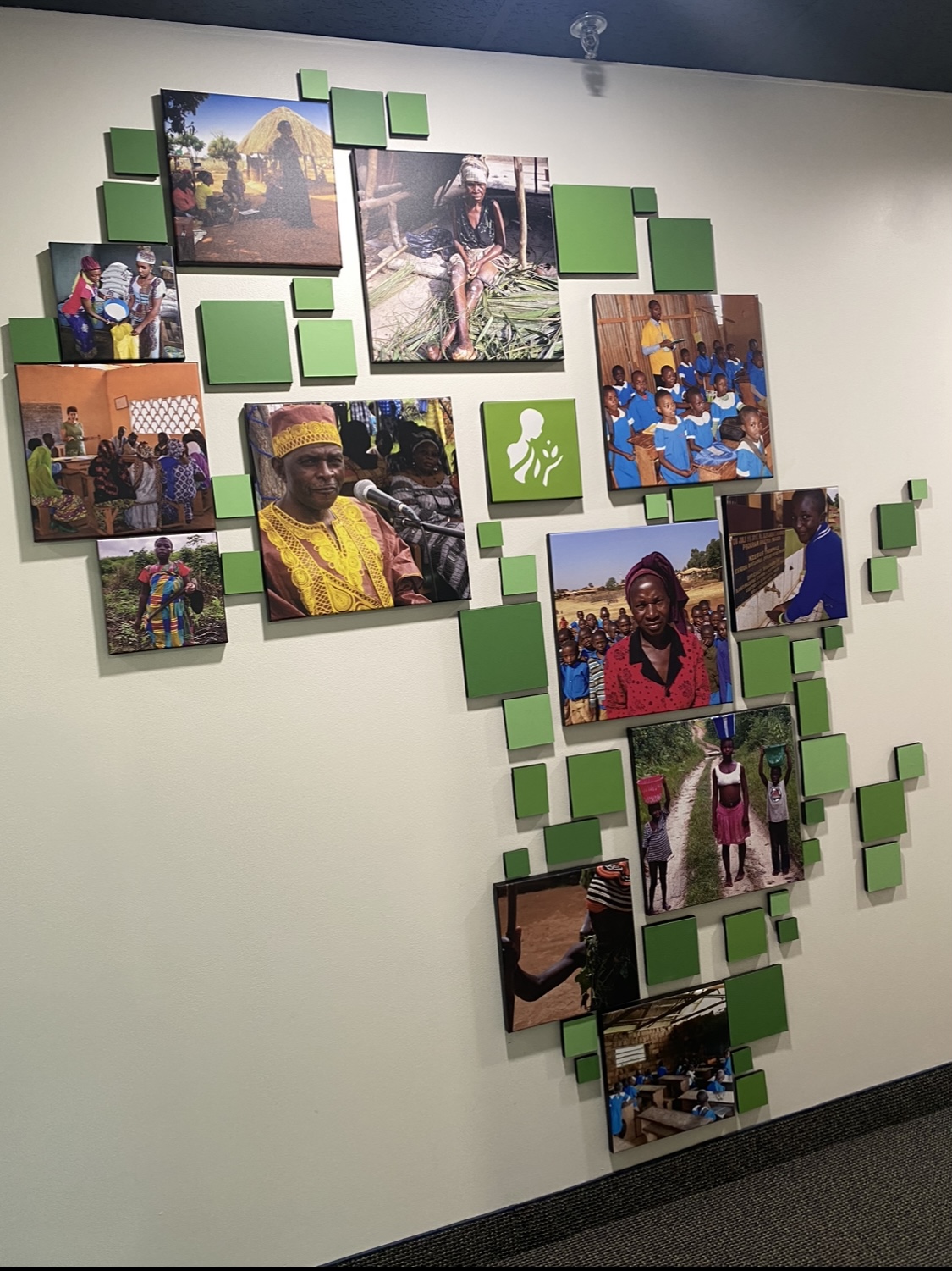 Nascent Solutions — finished Africa-shaped photo installation in the office hallway