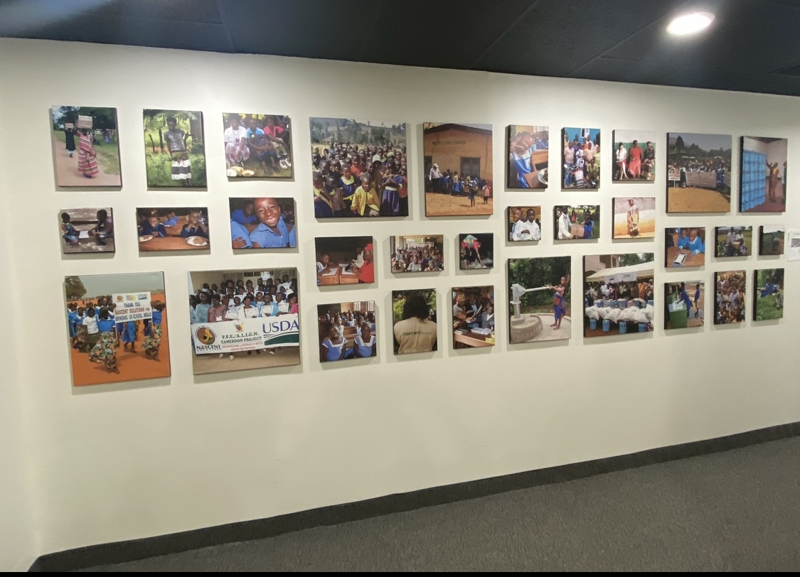 Finished — the Long Wall gallery installed
